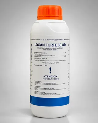 LOGAN FORTE 30 OD