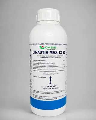 DINASTIA MAX 12 SC