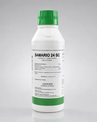 SAMARIO 24 SC