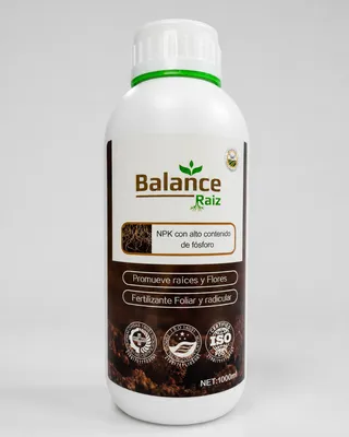 BALANCE RAÍZ