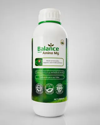 BALANCE AMINO MG
