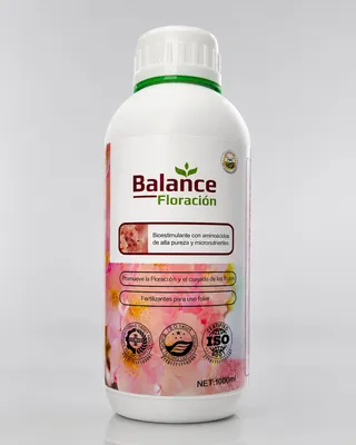 BALANCE FLORACIÓN