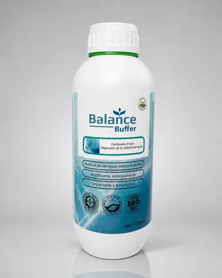 BALANCE BUFFER