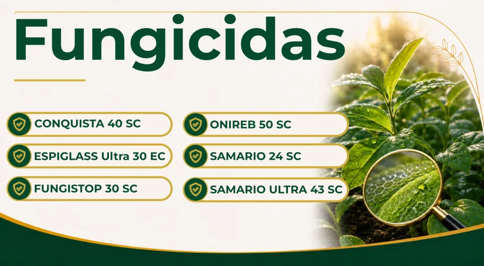 Fungicida