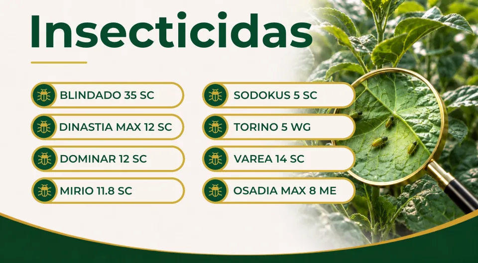Insecticida